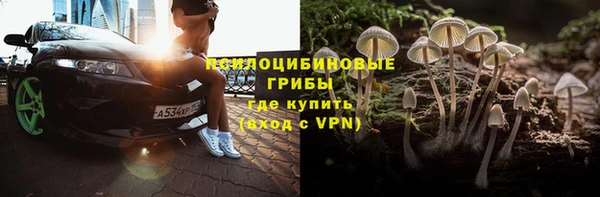 гидра Медвежьегорск