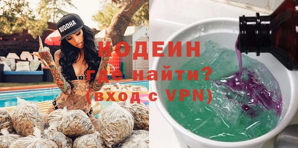 амф Гусиноозёрск