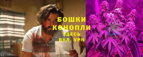 амф Гусиноозёрск