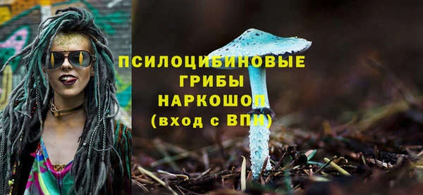 молекула духа Гусев
