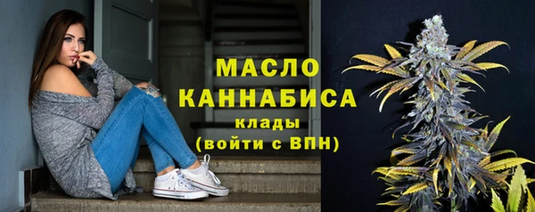 молекула духа Гусев