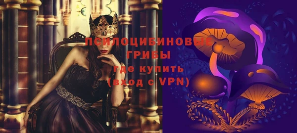 амф Гусиноозёрск