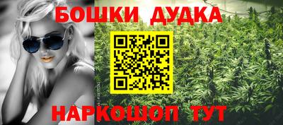 стаф Дубна