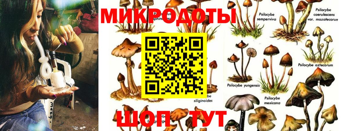 Псилоцибиновые грибы прущие грибы Десногорск