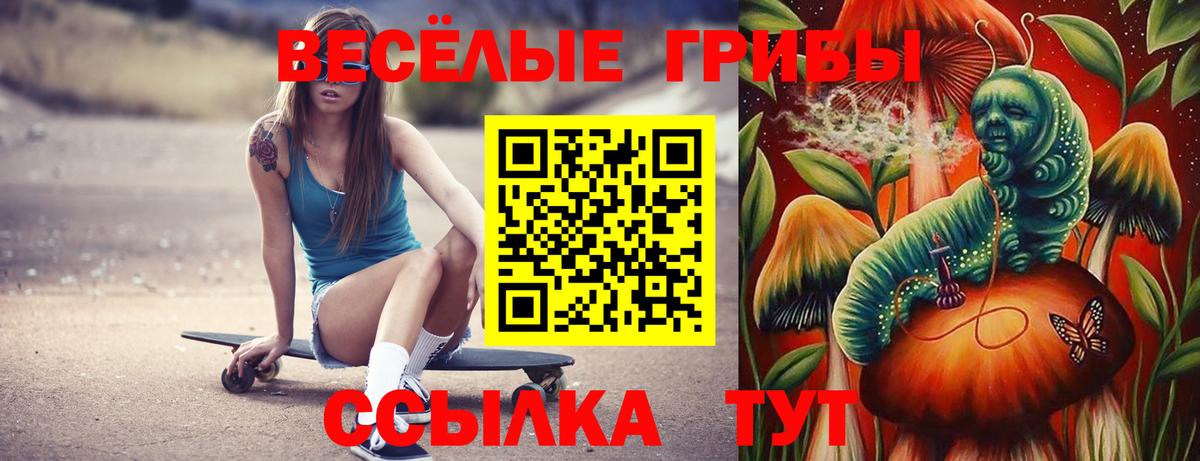 Галлюциногенные грибы GOLDEN TEACHER  Десногорск 