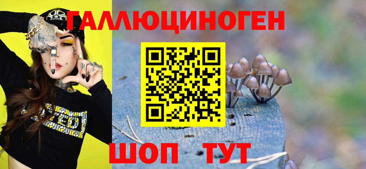 Псилоцибиновые грибы Cubensis  Вход с VPN  купить закладку  Десногорск 